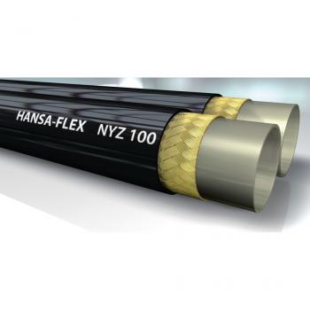 NYZ 113