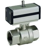 economy Ball valves brass