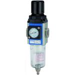 Filter regulators