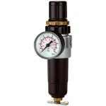 Filter regulators