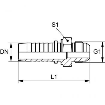 PN HJ