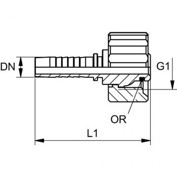 PN 08 WAP