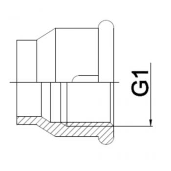 WA 032 IR RG