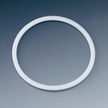 SKF STUETZRING 6