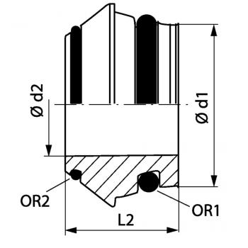 ZR OO 25