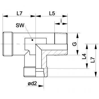 XLM NW 06 HL