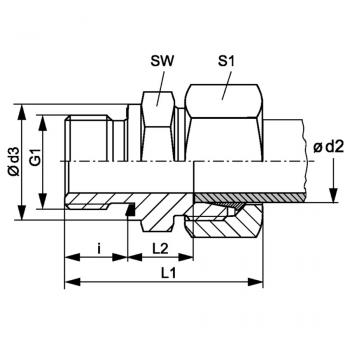 VR NW 06 HS ED MG