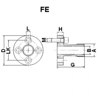 FE