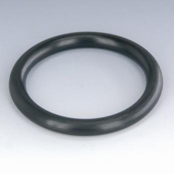SAE O-RING