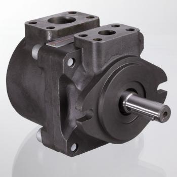 HK PFE 31 028 1DT