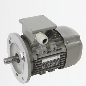 HK 100LB4 B5 2-4 IE2