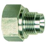 Standard screw fittings