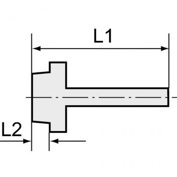 K-TR AG OR VALUE LINE MS NI