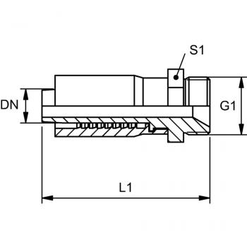 TRP 04 HB 02