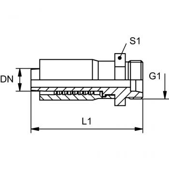 TRP 08 HL 10