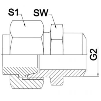 WA AFL-SA