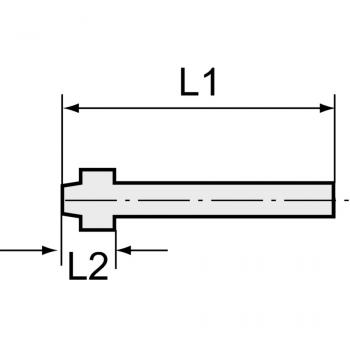 K-SCHLAUCHTUELLEN MS