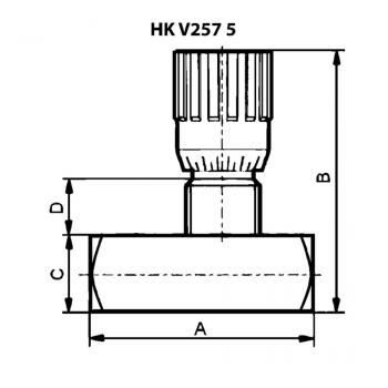 HK V2 575