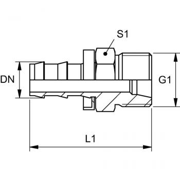 TR HL