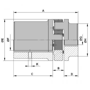 HK A1919 N1 AL