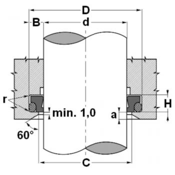 WTFP 0250 B554470