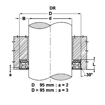 DR 30